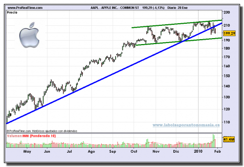 apple-inc-common-st-grafico-diario-28-01-2010